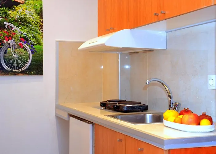 Blue Ippokampos * 佩科霍里